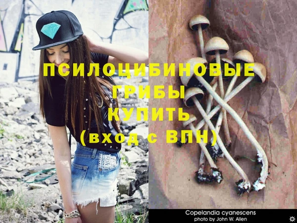 гашиш Покачи