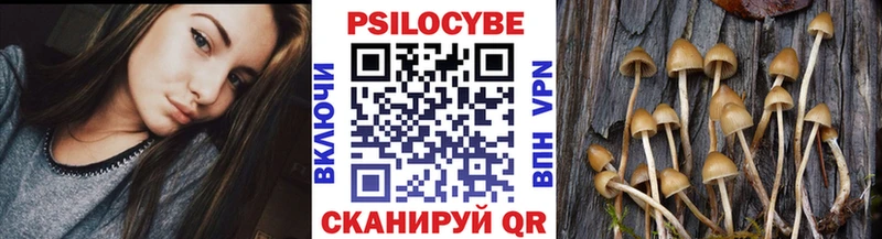 Галлюциногенные грибы Psilocybine cubensis  как найти наркотики  Советск 